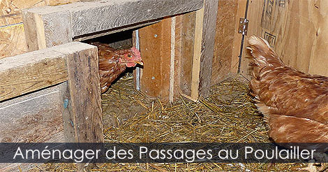 Am�nagement int�rieur d'un poulailler - Am�nager un poulailler - Passage au Poulailler - Comment construire un poulailler