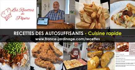 Cuisine rapide ou fast food