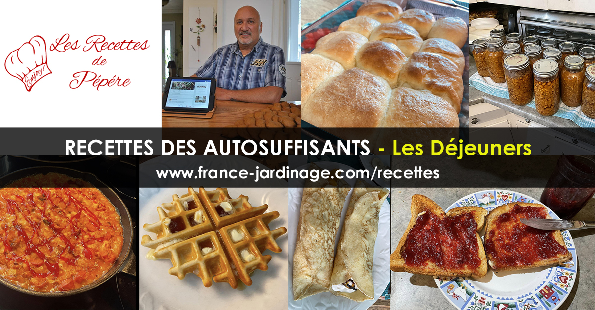 Recettes déjeuners