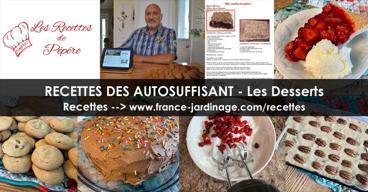 Recettes de Desserts - Préparation et ingrédients