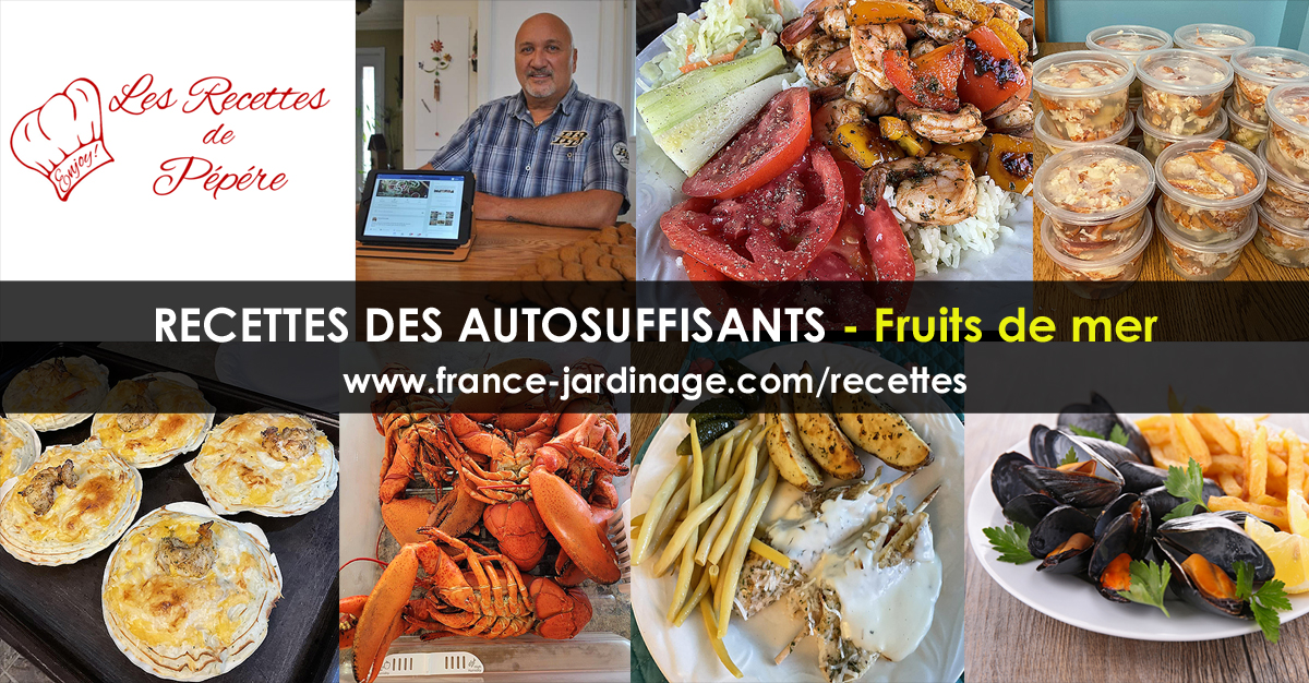 Recettes fruits de mer