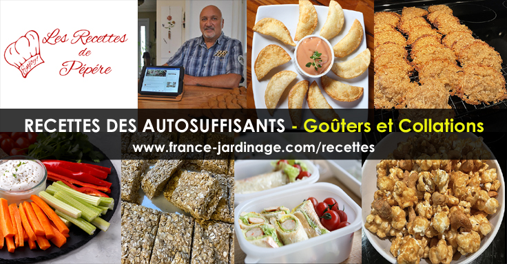 Recettes de Goûters et de Collations - Préparation et ingrédients