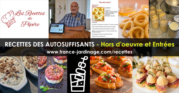 Recettes de Hors-d'oeuvre et entrées - Préparation et ingrédients