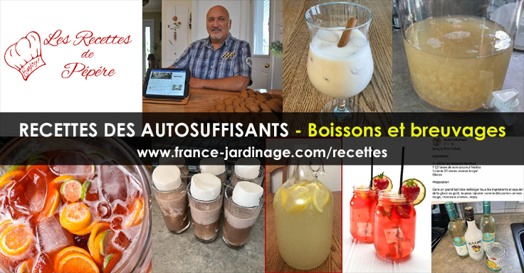 Recettes de Boissons