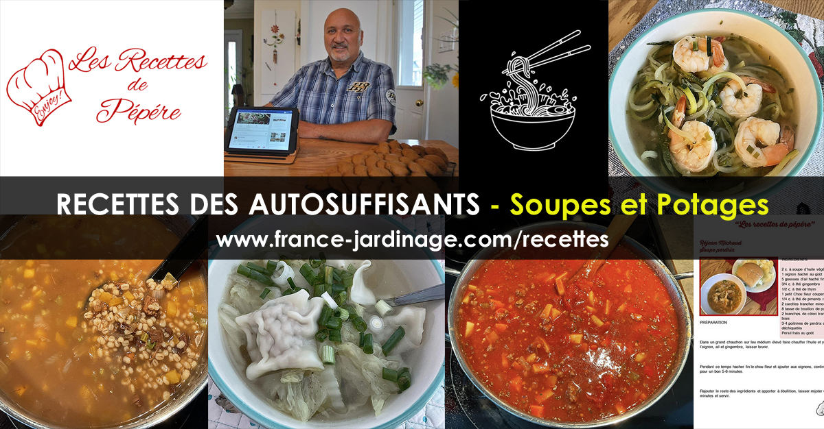 Recettes soupes