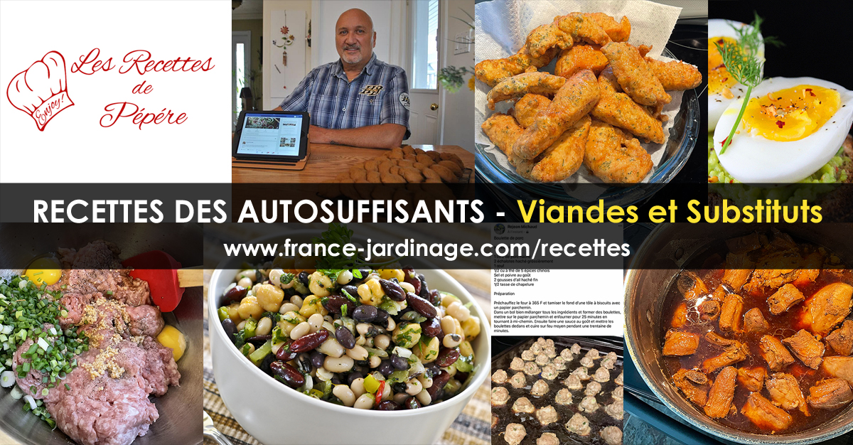 Recettes viandes
