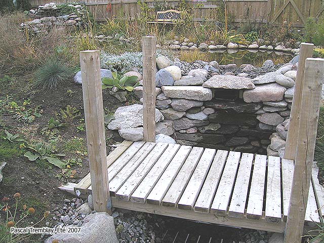 Ruisseau au Jardin - Bassin extérieur