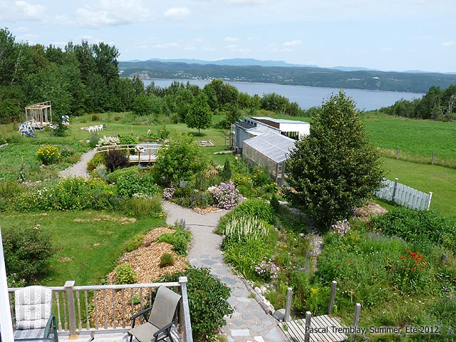 Ruisseau filtrant - Construire un ruisseau d'aspect naturel au Jardin
