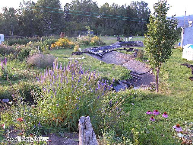 Ruisseau en méandres - Design Ruisseau de Jardin - Effet de profondeur - ruisseau sec