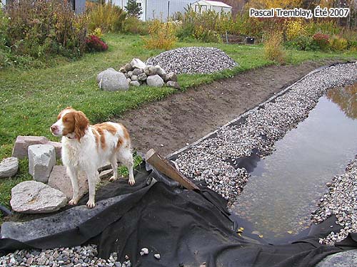Ruisseau pas cher - Projets au jardin - Plans gratuits et idées de Jardinage aquatique