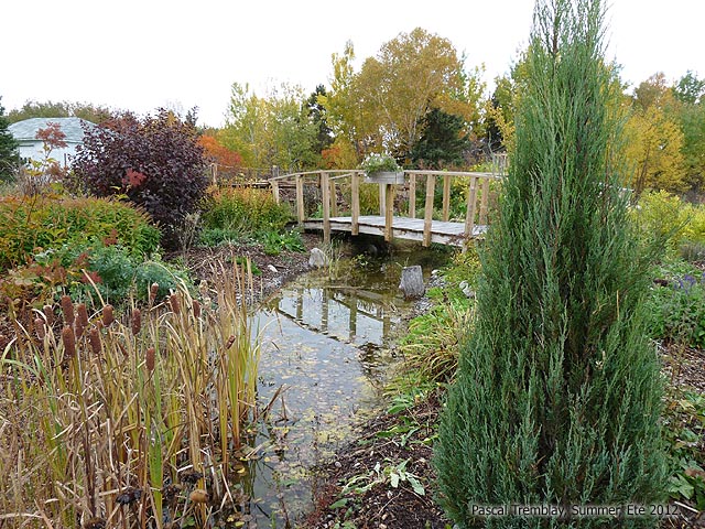 Ruisseau de Jardin - Construire un Ruisseau filtrant pour bassin - Ruisseaux