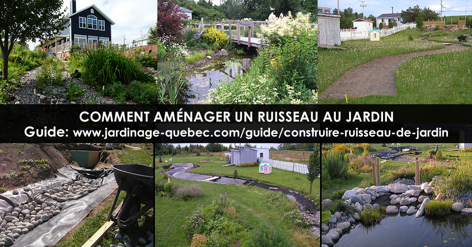 Ruisseau de jardin