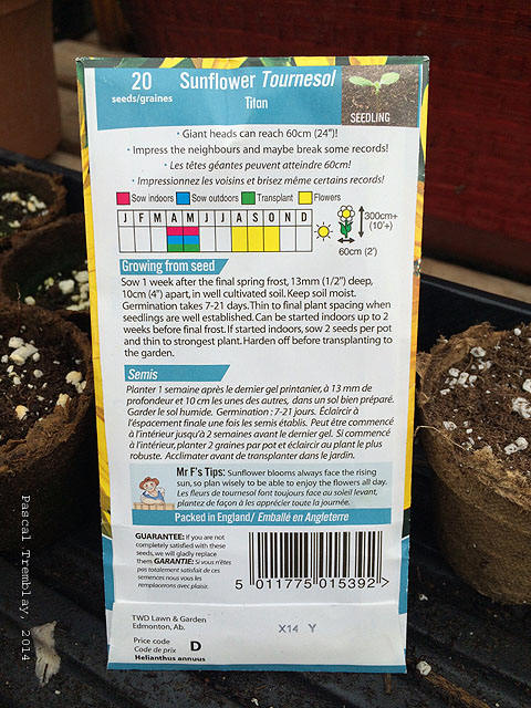 Acheter graines tournesol - Plantation tournesol - Grand tournesol