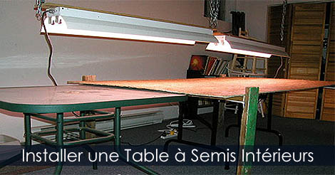 Installation d'une Table à plantation de semis de lampes de culture