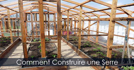 Construire une Serre - Plan de Serre en bois gratuit - Insructions pour la construction d'une serre - Plan de serre