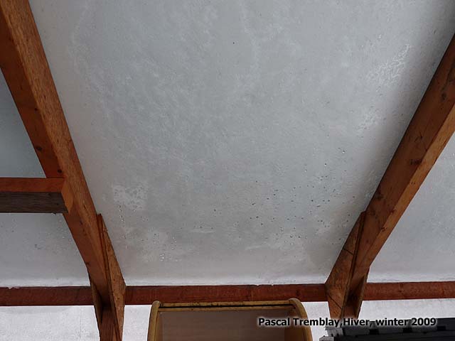 Serre en poly�thyl�ne / durabilit� et support de la charge de neige / Serre en hiver