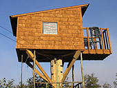 Maison dans les arbres - Cabane dans les arbres