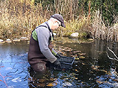 Déglaceur pour bassin