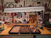 Faire les semis à l'intérieur - Installer une table à semis et éclairage intérieur suspendu