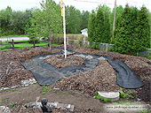 Transformer la façade de votre maison en Jardin Potager sans gazon.