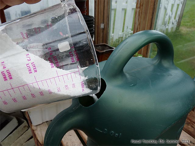 Enlever moisissures sur le bois - Comment nettoyer le bois - nettoyant pour bois