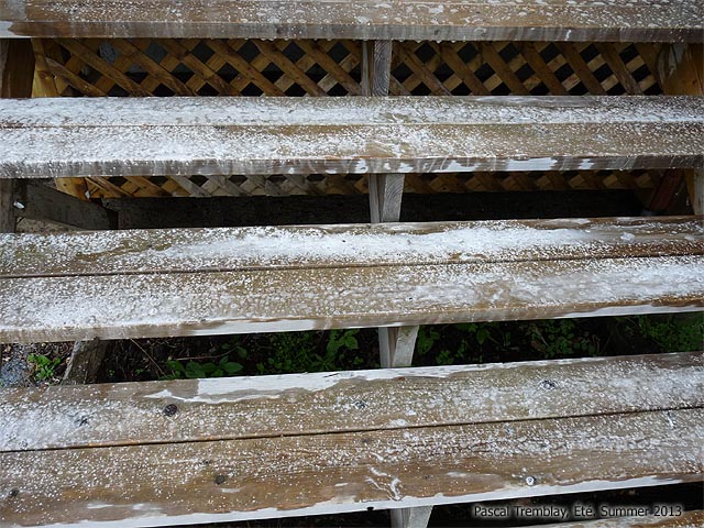 Nettoyeur-conditionneur pour bois - Entretenir bois terrasse