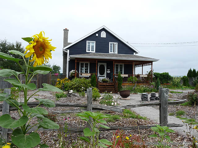 Entretenir une galerie recouverte en bois traité - Canexel Bleu Minuit