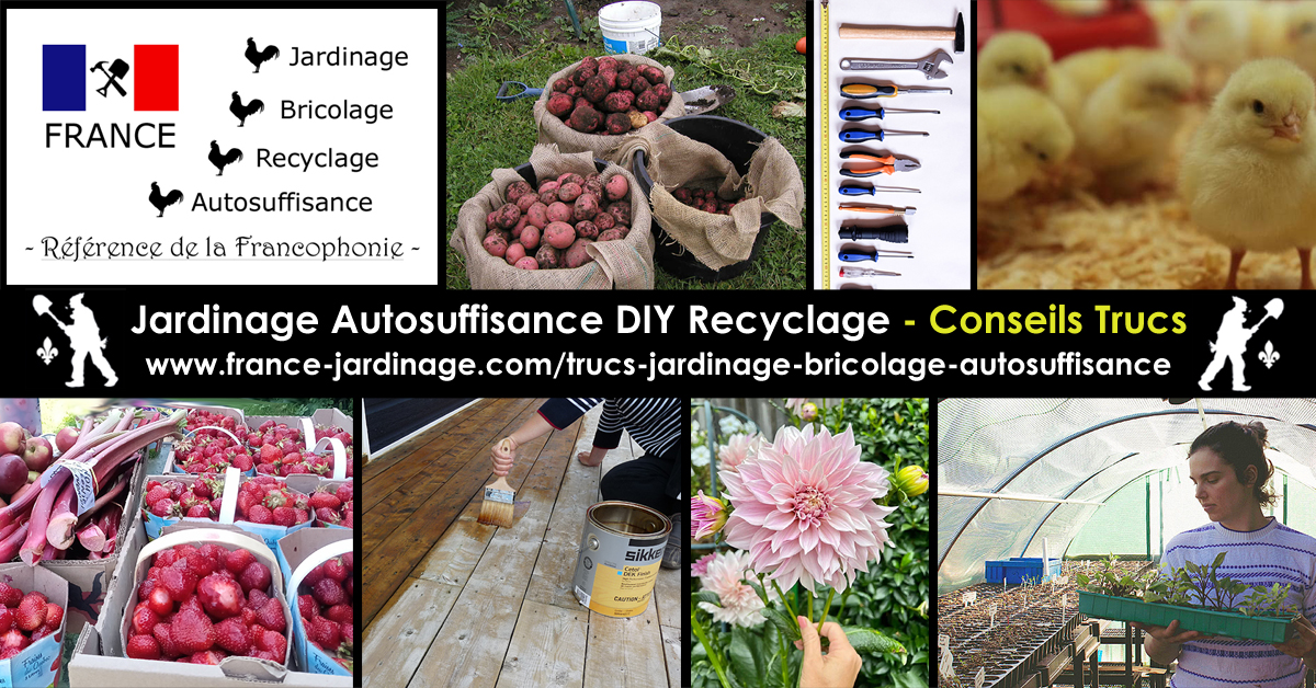 Conseils de Jardinage
