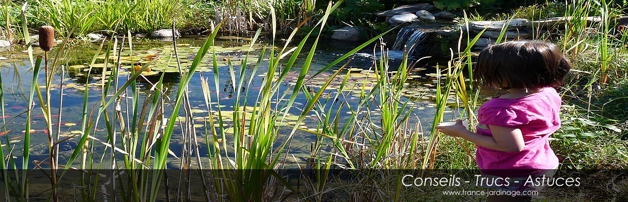 Conseils Jardinage - Conseils Bricolage - Conseils Autosuffosance