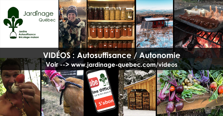 Autosuffisance énergétique