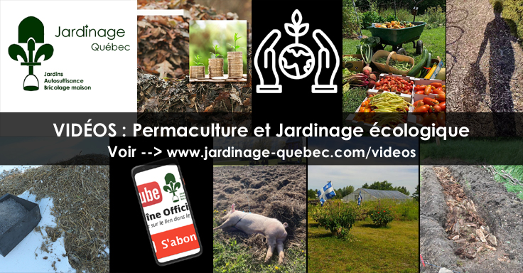 Développement durable