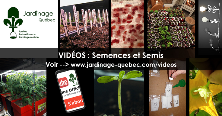 Viabilité des semences