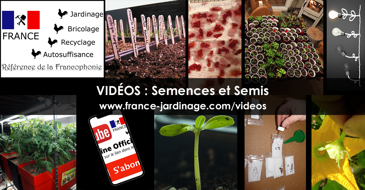 Conservation des semences