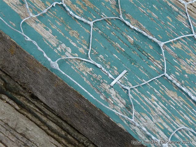 Fixer le grillage d'une volière - Grillage à poule - Fabriquer une volière