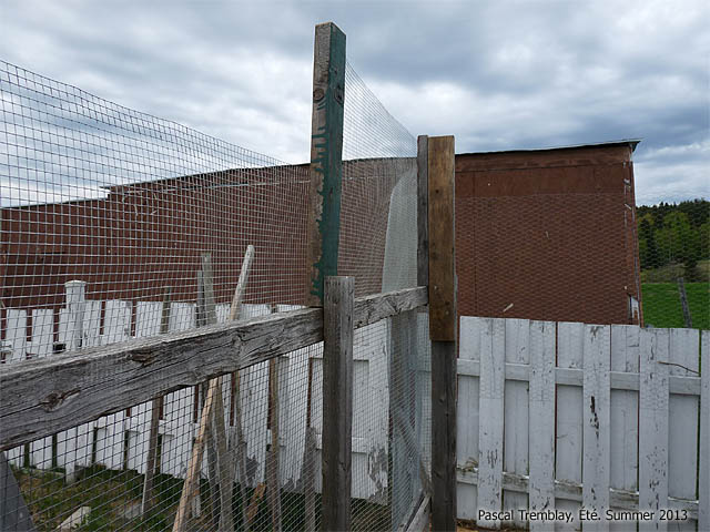 Structure Volière - Plan de volière - Achat volière - Grillage pas cher