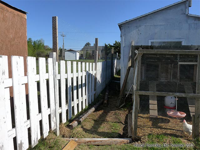 Comment construire une volière facile à faire