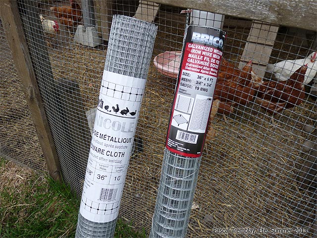 Grillage à volaille pour volière - Construction d'une volière - grillage pas cher