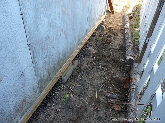 Grillage Poule - Grillage poulailler - Grillage Volière - Grillage métallique