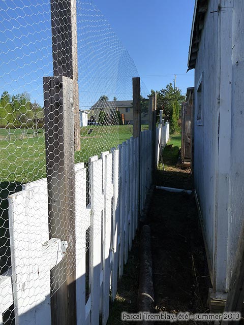 Volière pour poulailler - Idée de volière pour poulailler - Poule - Construire Poulailler