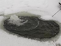 Buy Pond heaters and pond de-icers