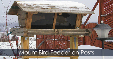 Bird feeder - how to mount bird feeder