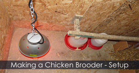 How to build a chicken brooder - After chicken hatched - chicken brooder setup - Hatching chicken eggs - Chick Brooder Temperature and Light - Incubation procedures for optimum egg hatchability