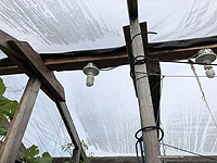 Greenhouse polyethylene