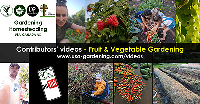 Fruit and vegetable garden