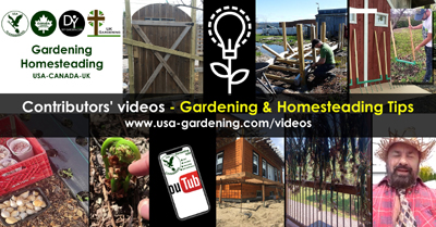 Gardening and homesteading tips