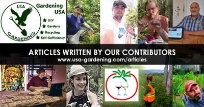 Articles by our contributors