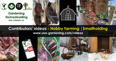 Hobby farming and small farm