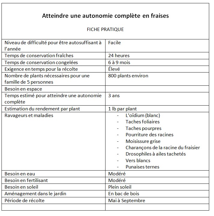 Culture des fraises - Autonomie en fraises