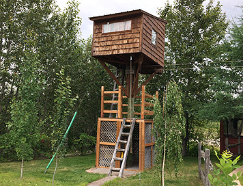 Construire une cabane dans une arbre