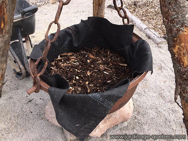 Utilisation d'un chaudron en fonte comme jardini�re fleurie au jardin champ�tre